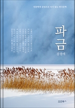 인문학적 감성으로 다시 읽는 한국문학 파금