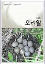 인문학적 감성으로 다시 읽는 한국문학 오리알